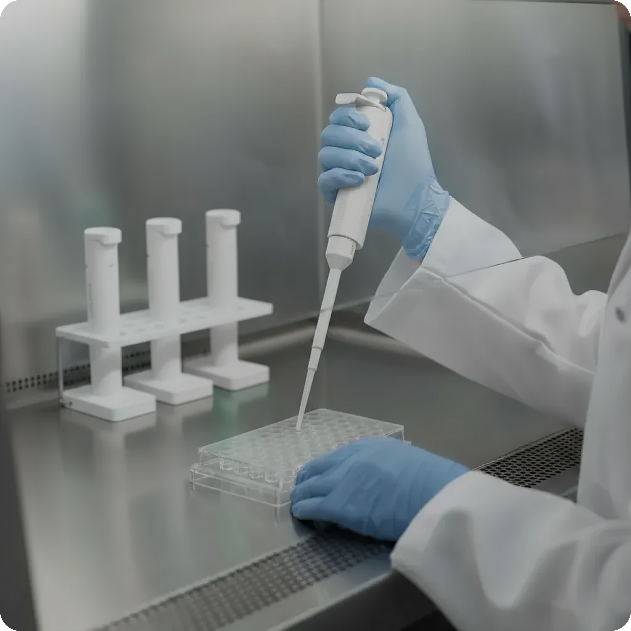 Scientist using a pipette in a sterile lab
