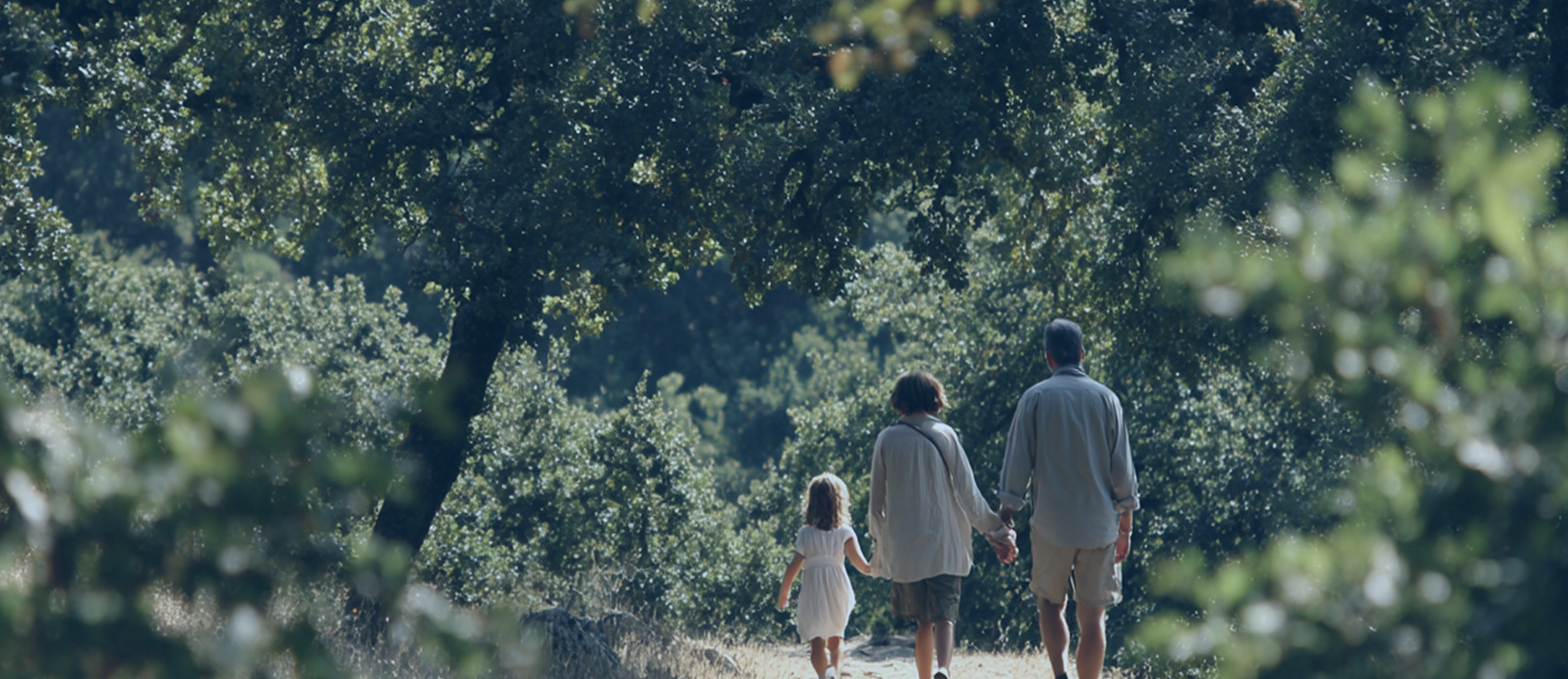 Family walking through a forest representing wellbeing